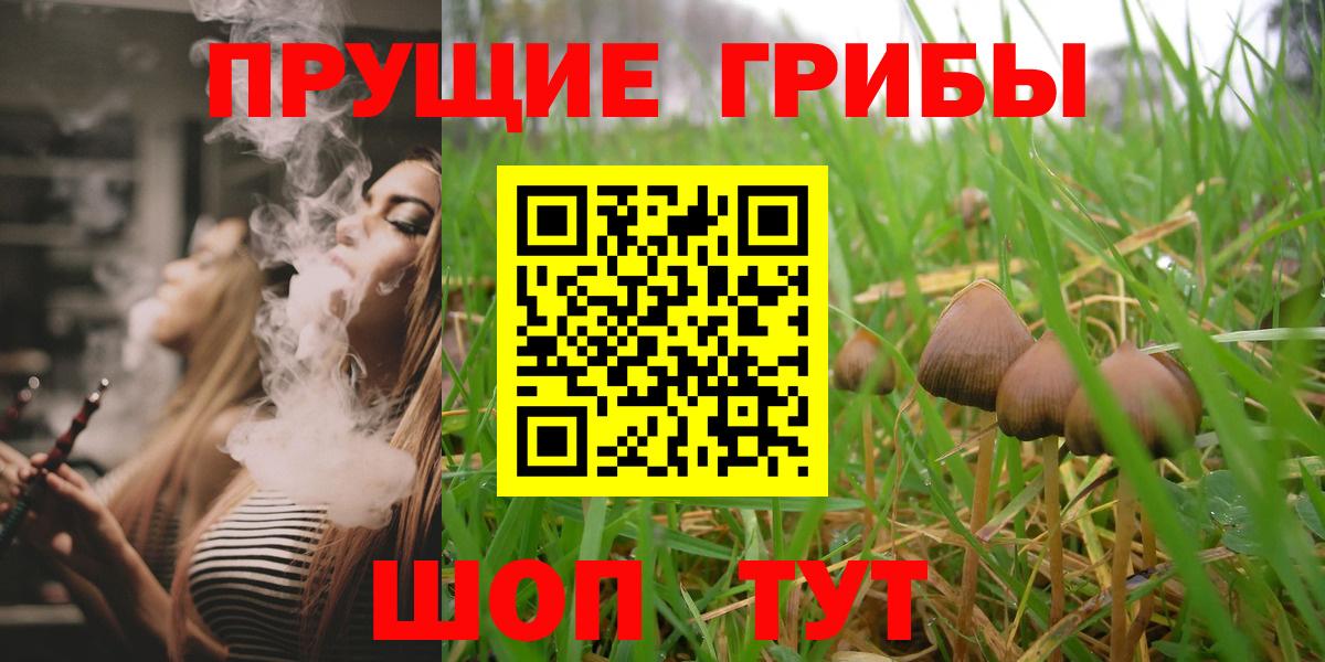 Псилоцибиновые грибы Cubensis  Вход с VPN  Галлюциногенные грибы Psilocybine cubensis  Белореченск 